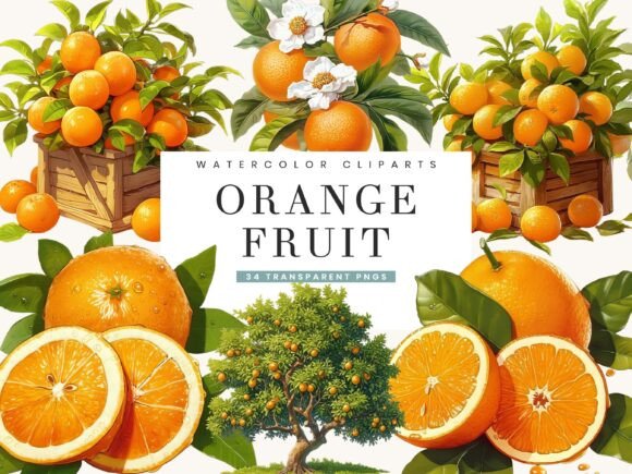 Download Watercolor Italy Orange Fruit Clipart - Orange Collection